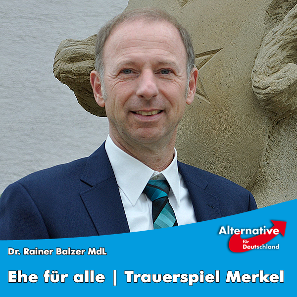 AfD-Fraktion im Landtag von Baden-Württemberg AfD-Fraktion im Landtag von Baden-Württemberg