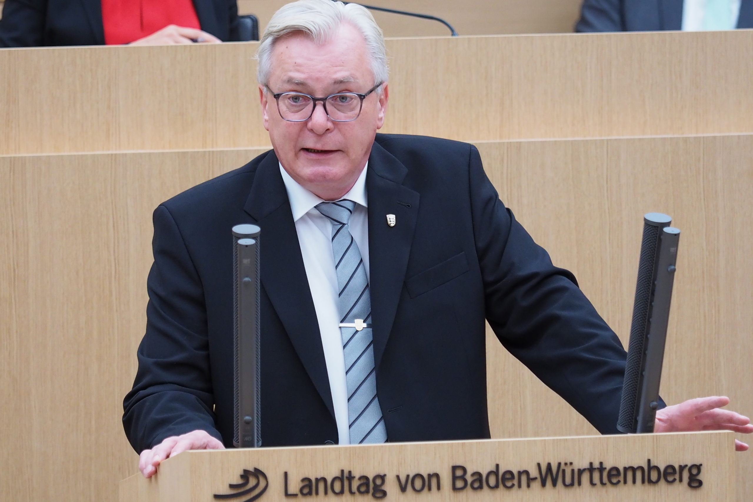AfD-Fraktion im Landtag von Baden-Württemberg
